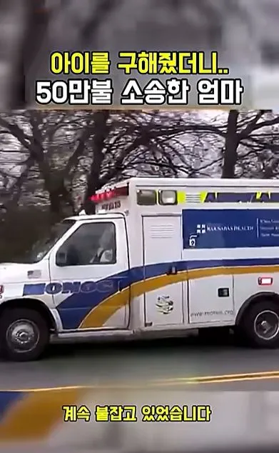[스압] 아이를 구해줬더니 50만불 소송한 애엄마