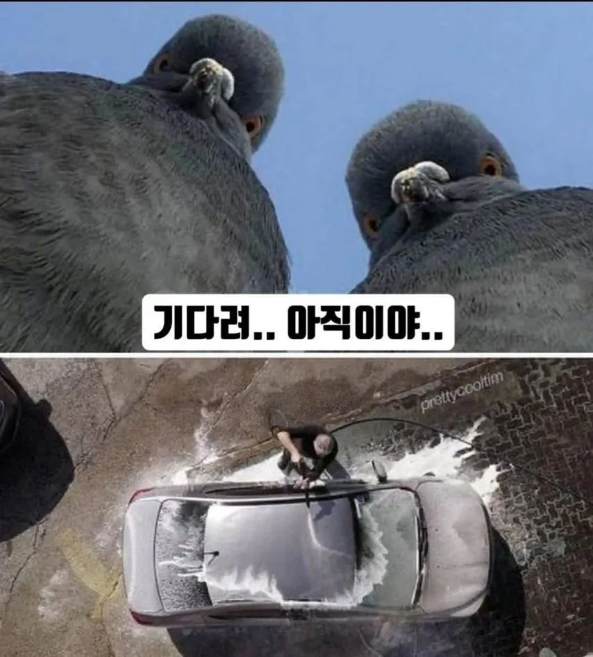 이해하면 소름돋는 짤