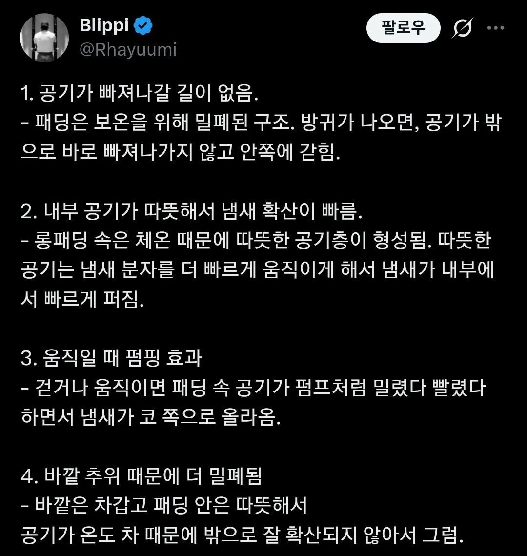 롱패딩의 단점