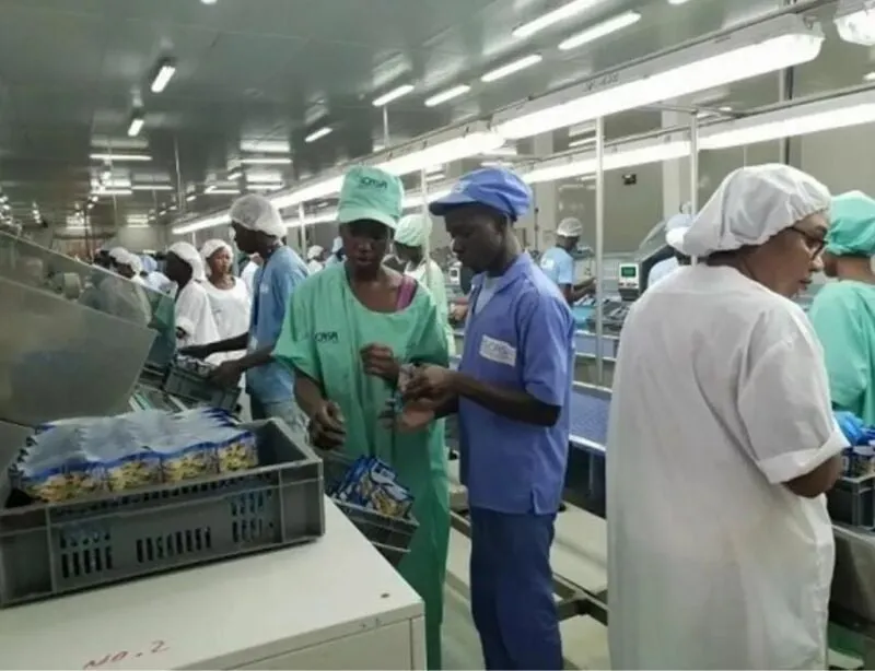 아프리카 세네갈에서 급성장한 한국 기업ㄷㄷ