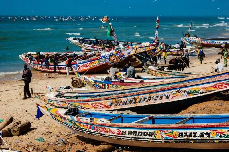 아프리카 세네갈에서 급성장한 한국 기업ㄷㄷ