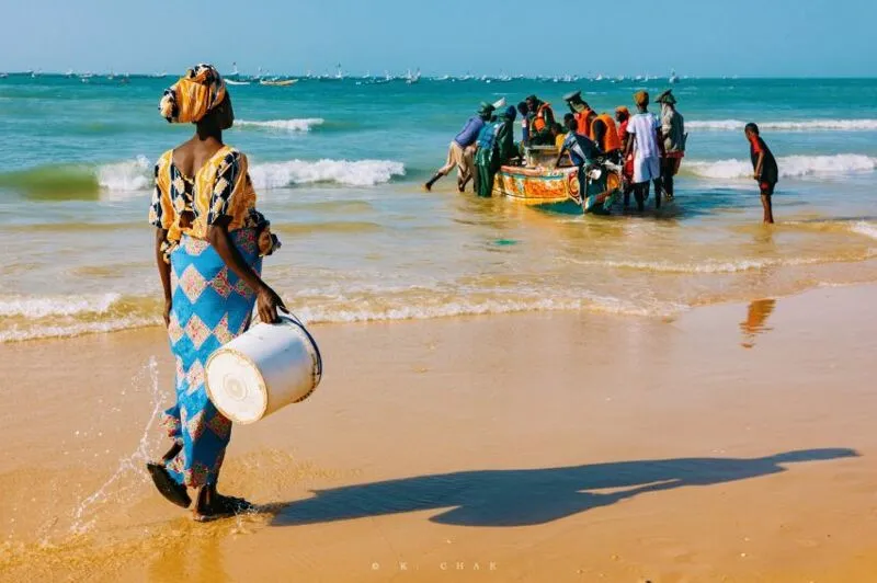 아프리카 세네갈에서 급성장한 한국 기업ㄷㄷ