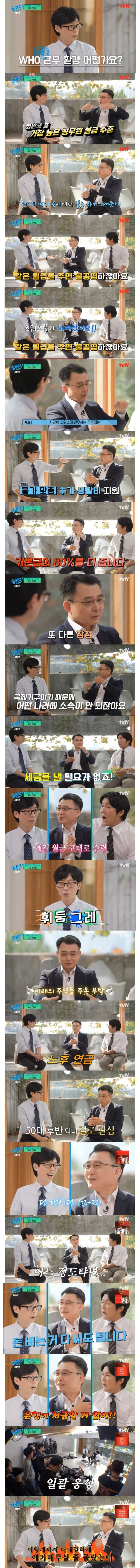 세계보건기구 WHO 근무 환경