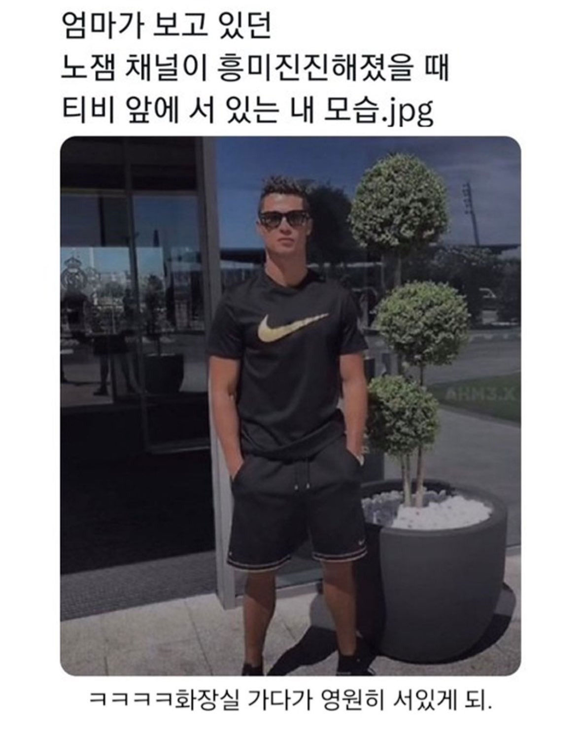 엄마가 보고 있던 노잼 채널이 흥미진진해졌을 때.jpg