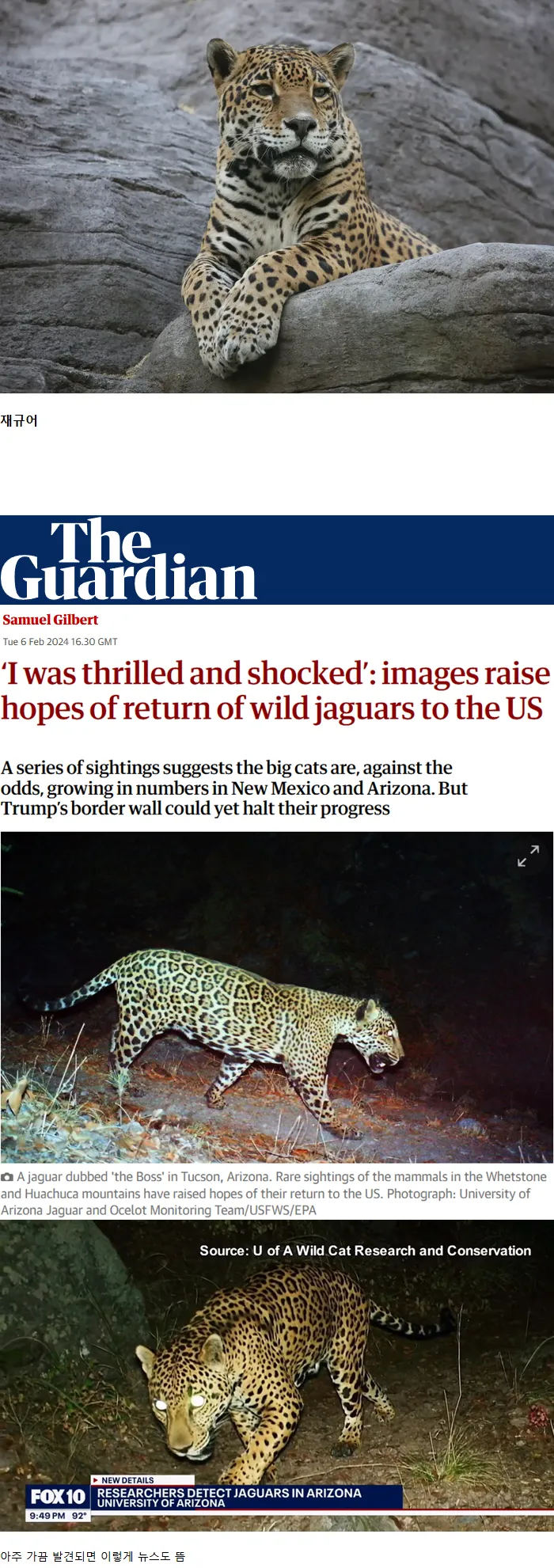 미국에서 아주 가끔 발견되는 희귀한 동물