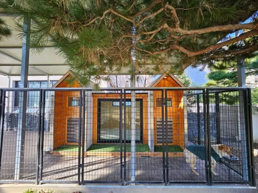 박세리 개집 클라쓰ㄷㄷㄷㄷ