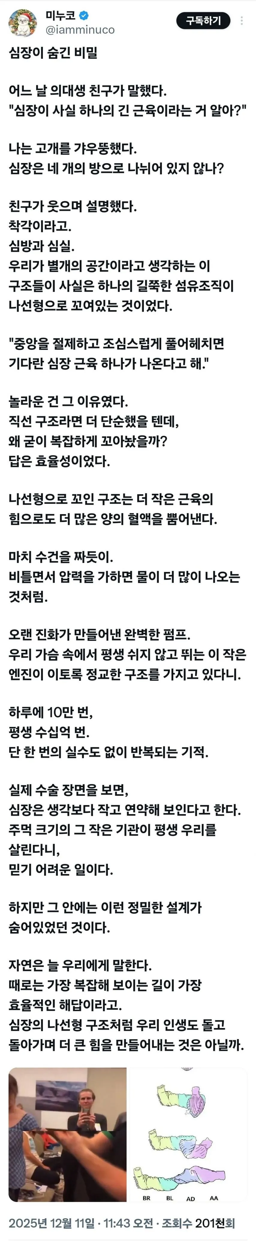 의대생 친구가 알려준 심장의 비밀