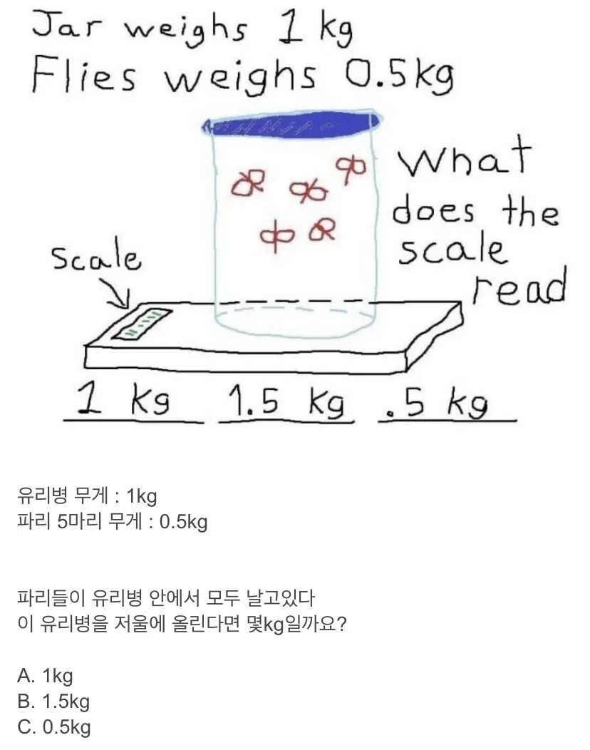 해외에서 논쟁이였던 파리 문제.