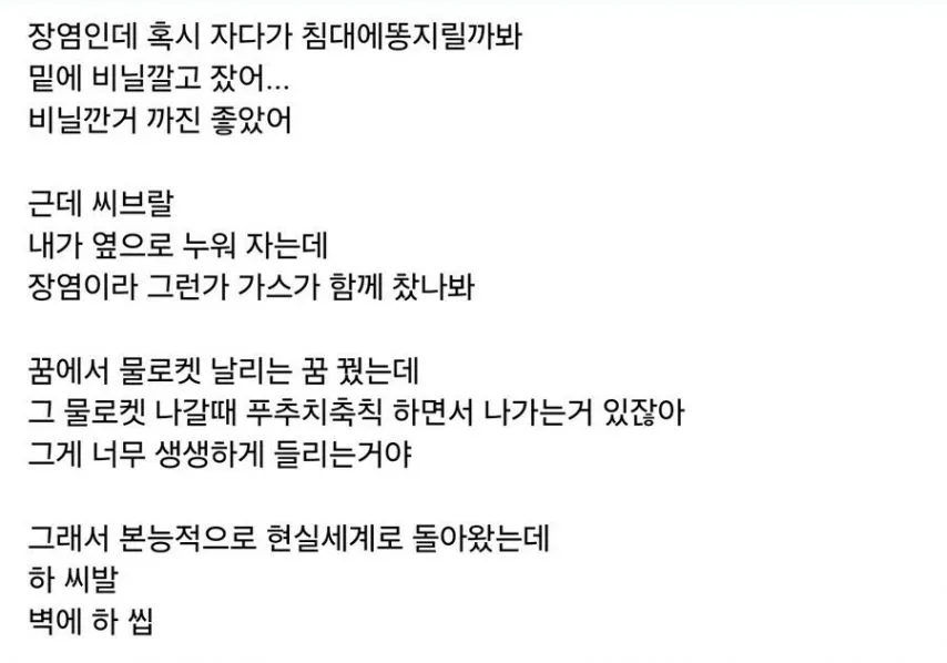 장염 걸려서 똥 지릴까봐 비닐 깔았다는 사람.jpg