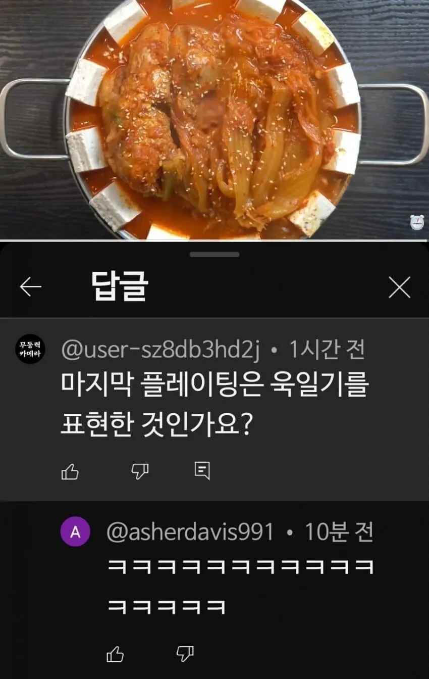 유튜버 김치찌개 플레이팅 논란