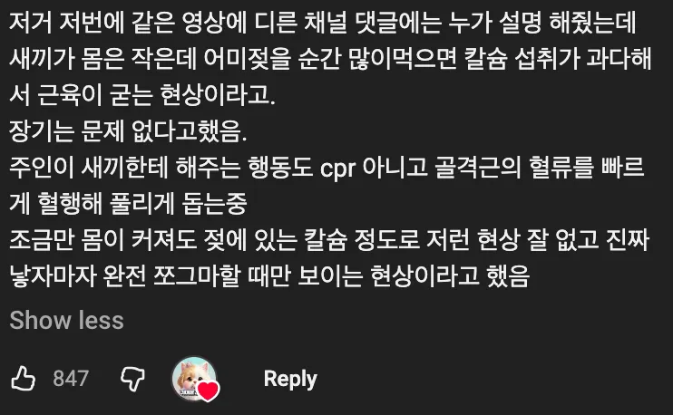 🐕  몸이 굳어버린 새끼 강아지 🐶