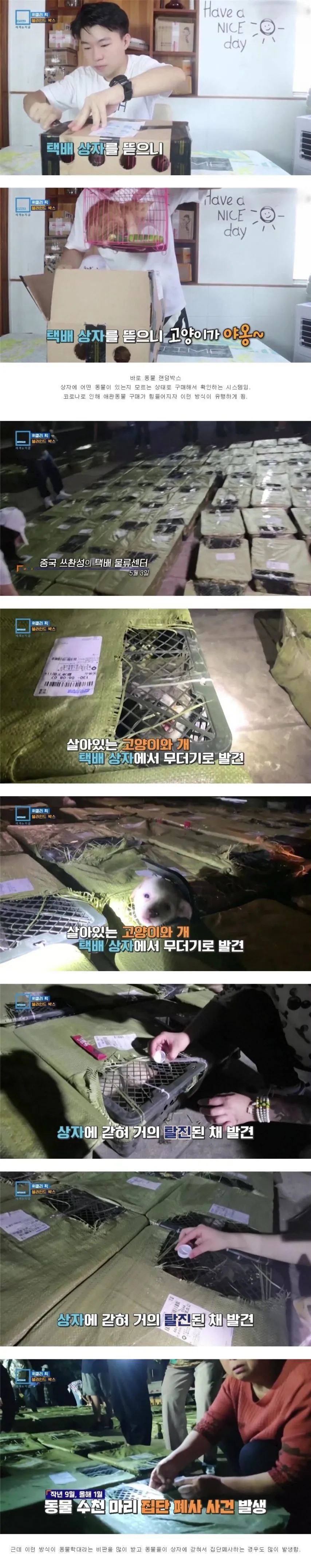 2021년 중국에서 유행했던 랜덤박스.