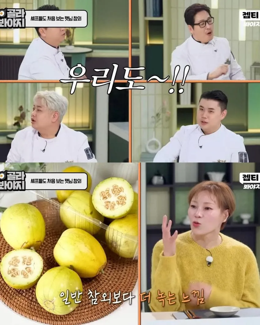 냉부해 셰프들도 존맛이라 놀란 입짧은햇님의 망고 참외