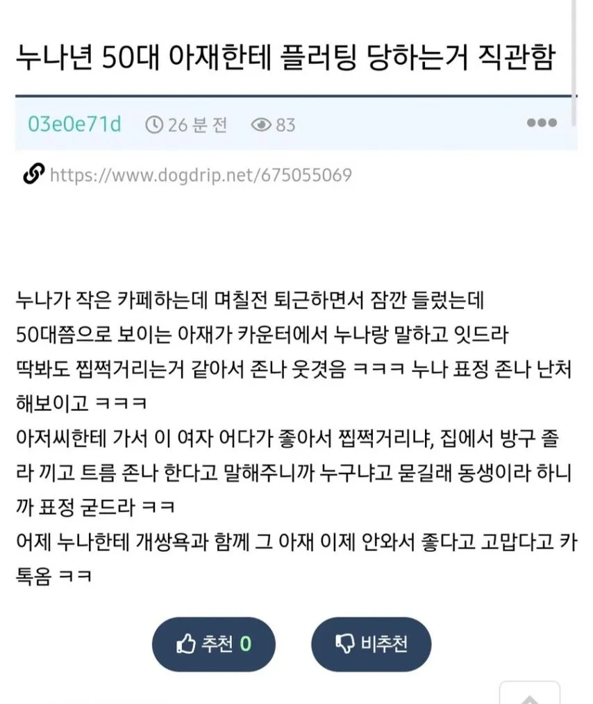 누나한테 찝적거리는 50대 아재 퇴치한 개드리퍼