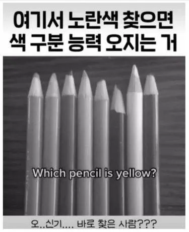 현재 미술 전공자 98%만 맞춘다는 색 구분능력