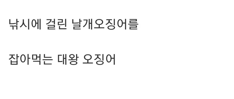 동족 포식하는 오징어