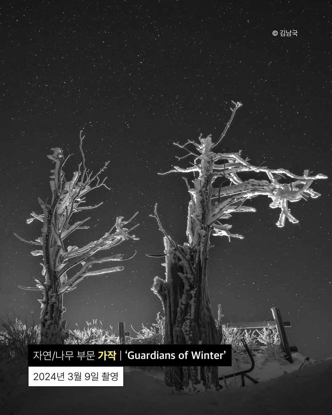 사진이 취미라는 안산시청 공무원