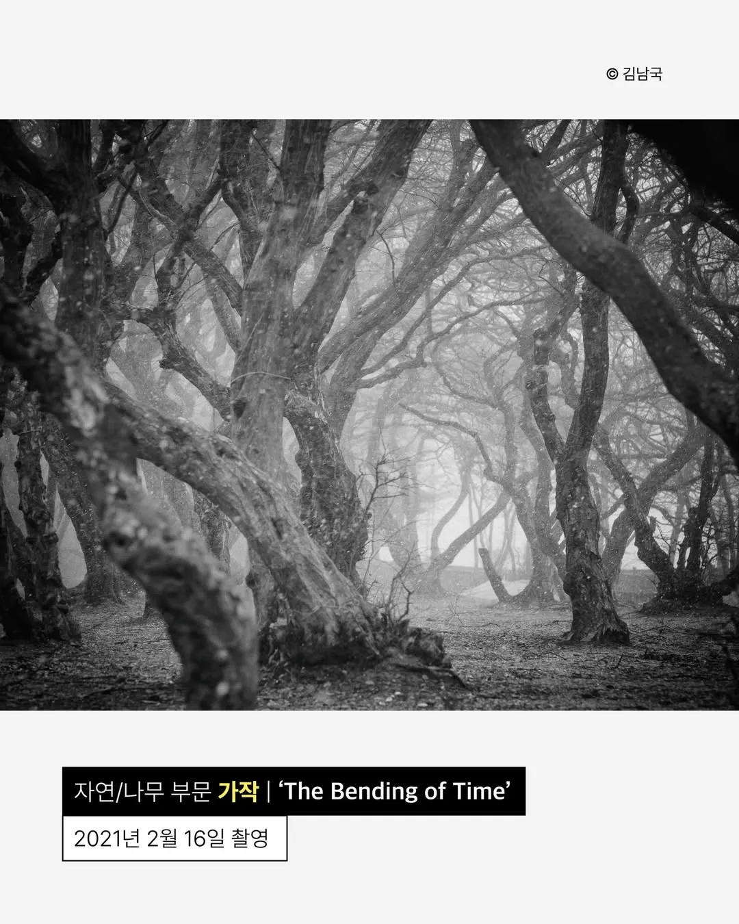 사진이 취미라는 안산시청 공무원