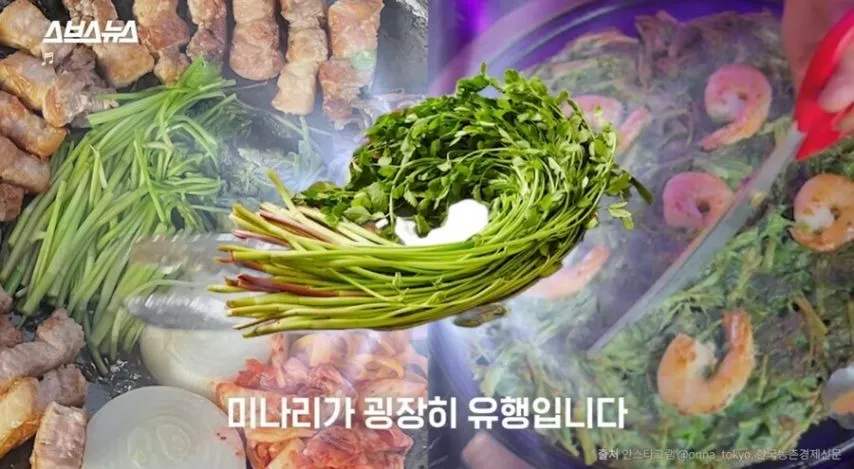 진짜로 일본에서 갑자기 확 뜬 식재료