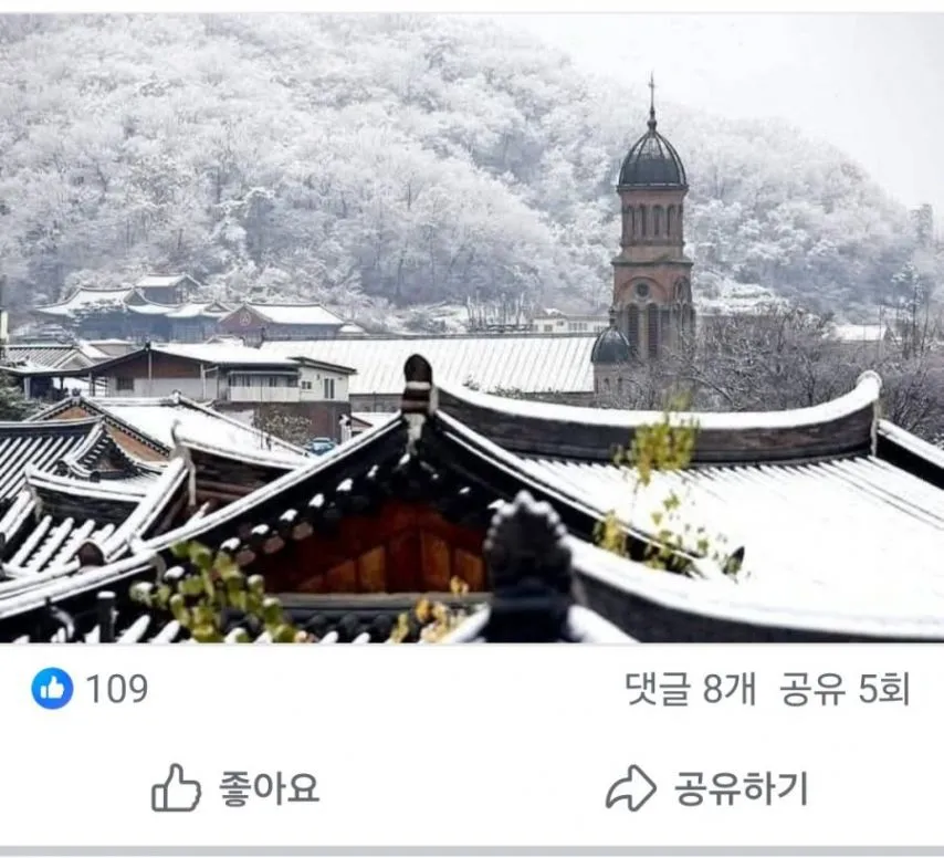 전주 전동성당 욕하는 사람.jpg