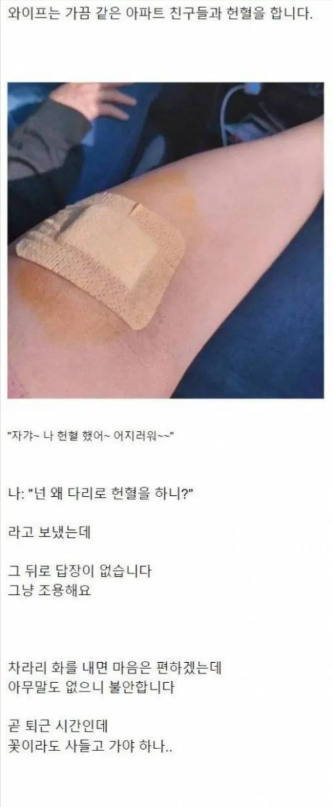 남편의 드립