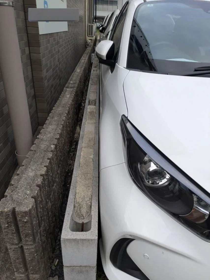 주차의 달인들.