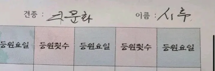 반려견 유치원 출석부