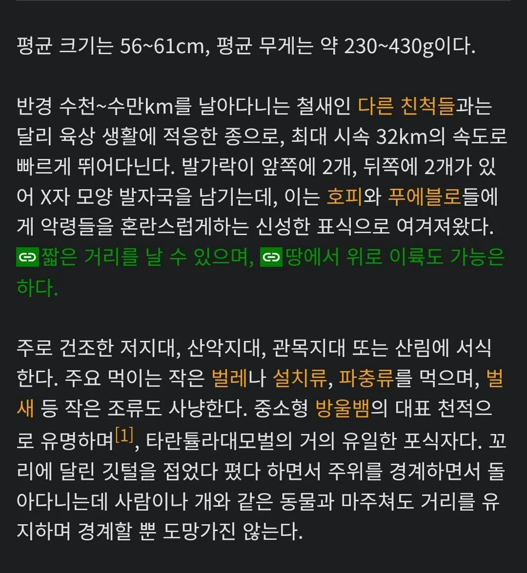 코요테 vs 로드러너