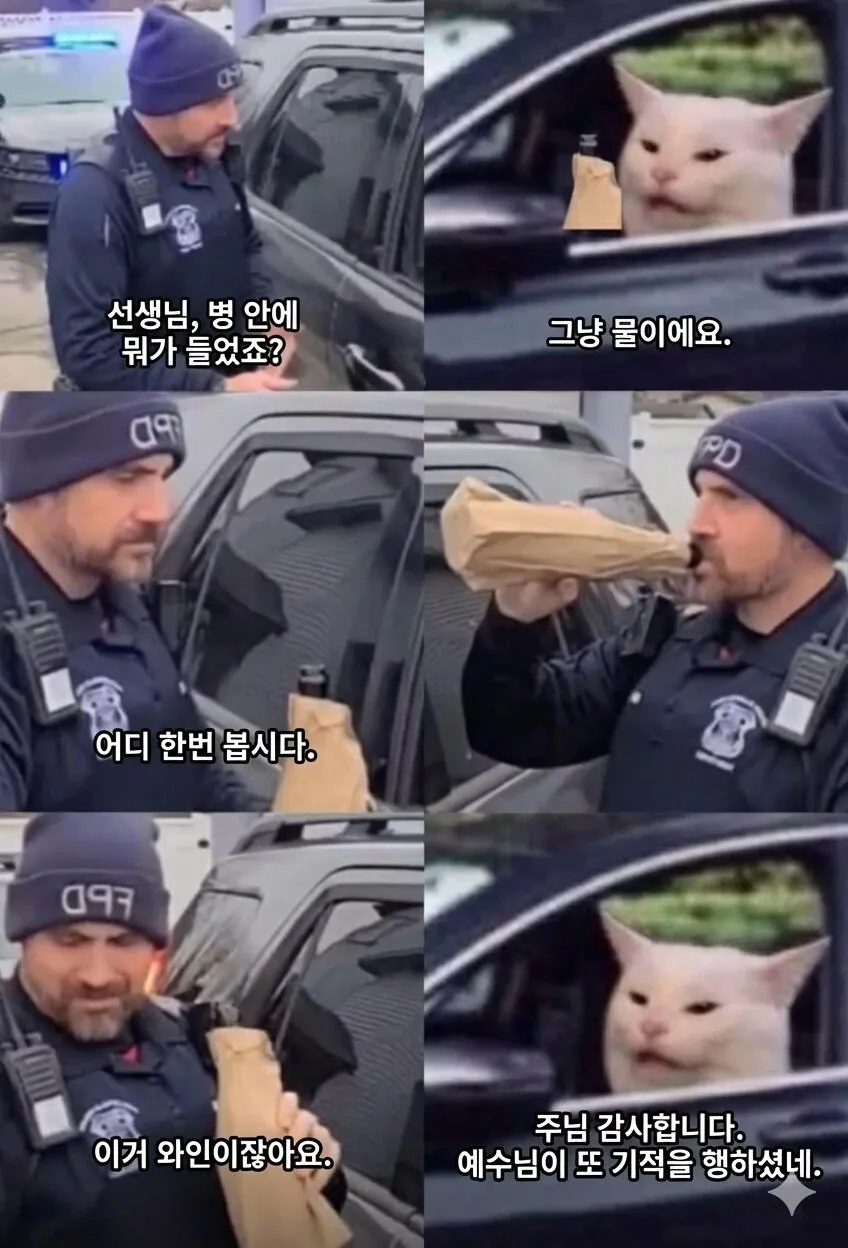 음주단속중에 하느님이 개입하심