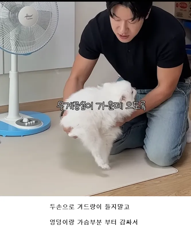 강아지 제대로 안는 법.