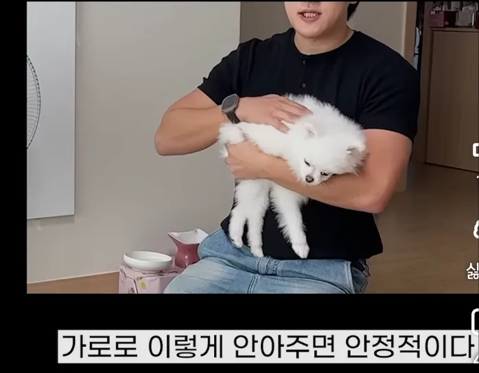 강아지 제대로 안는 법.