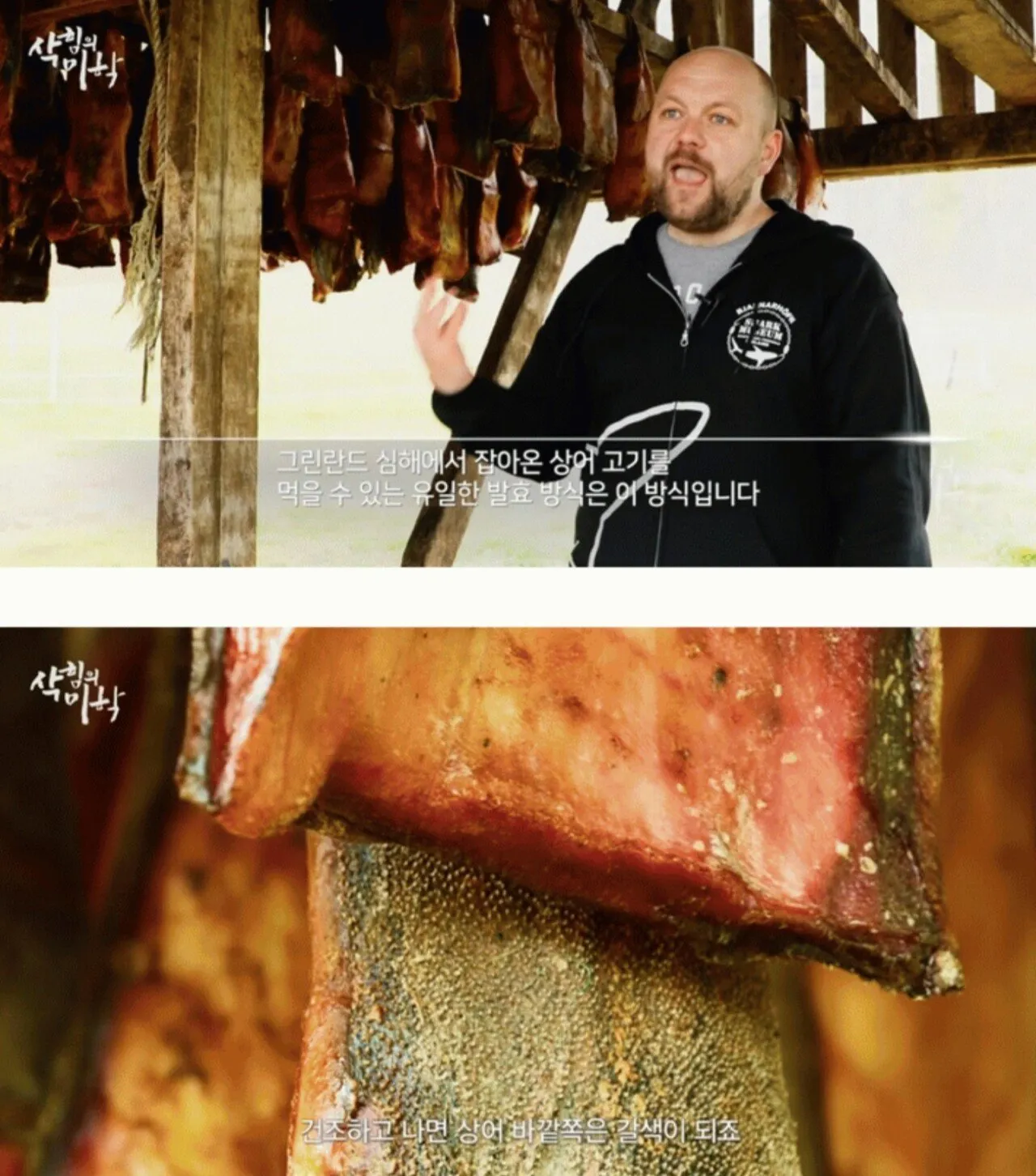 한국도 삭힌 홍어 먹는다고하니 신기해 하는 나라