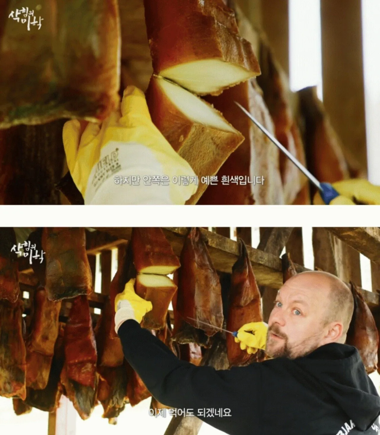 한국도 삭힌 홍어 먹는다고하니 신기해 하는 나라