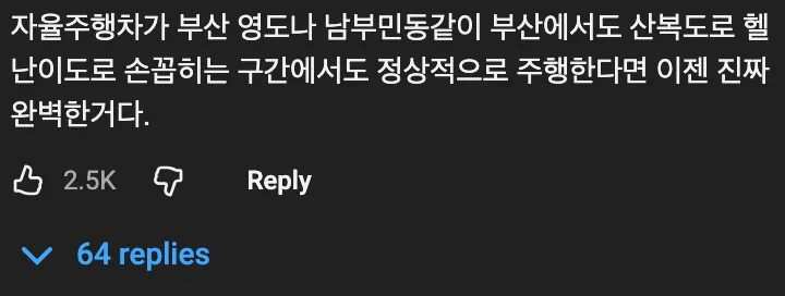 🇰🇷 부산의 복잡한 도로에서 테슬라 자율주행으로 돌아다니면 일어나는 일 🚗 ⚡️