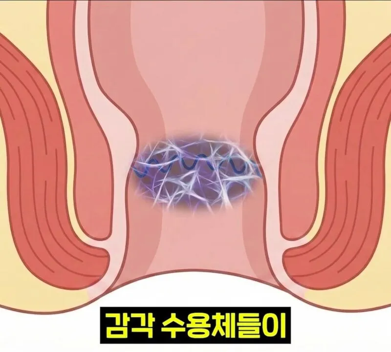 우리 뇌가 방귀와 똥을 구분하는 방법