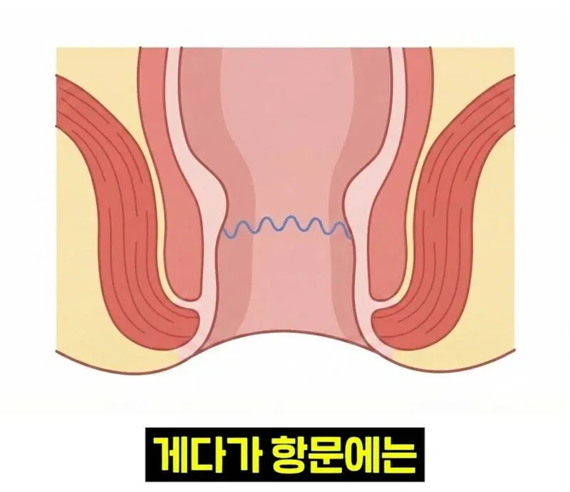 우리 뇌가 방귀와 똥을 구분하는 방법