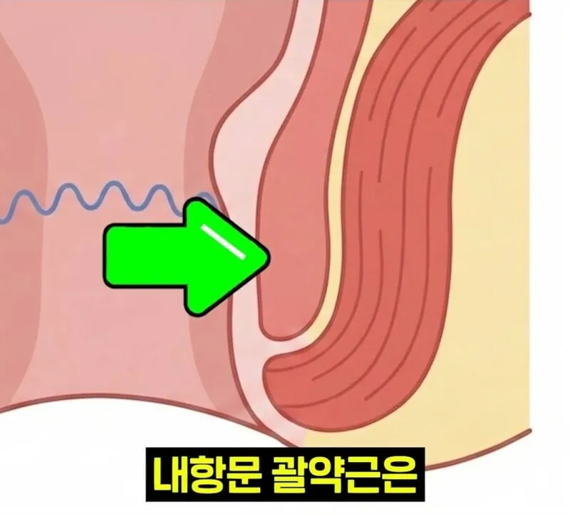 우리 뇌가 방귀와 똥을 구분하는 방법