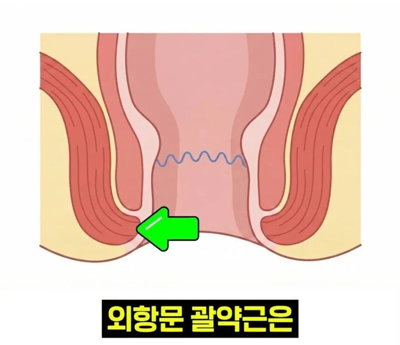 우리 뇌가 방귀와 똥을 구분하는 방법