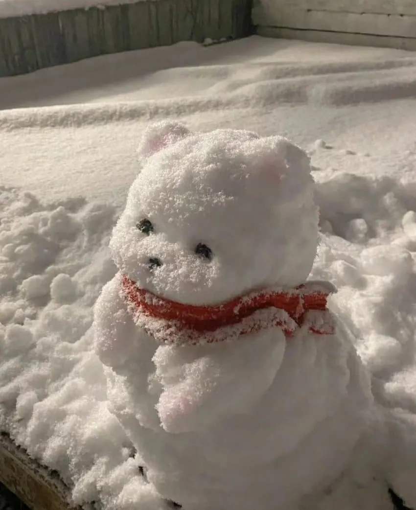 어느 디씨인이 만든 눈사람.jpg