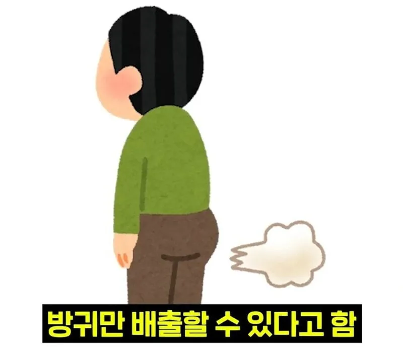 우리 뇌가 방귀와 똥을 구분하는 방법