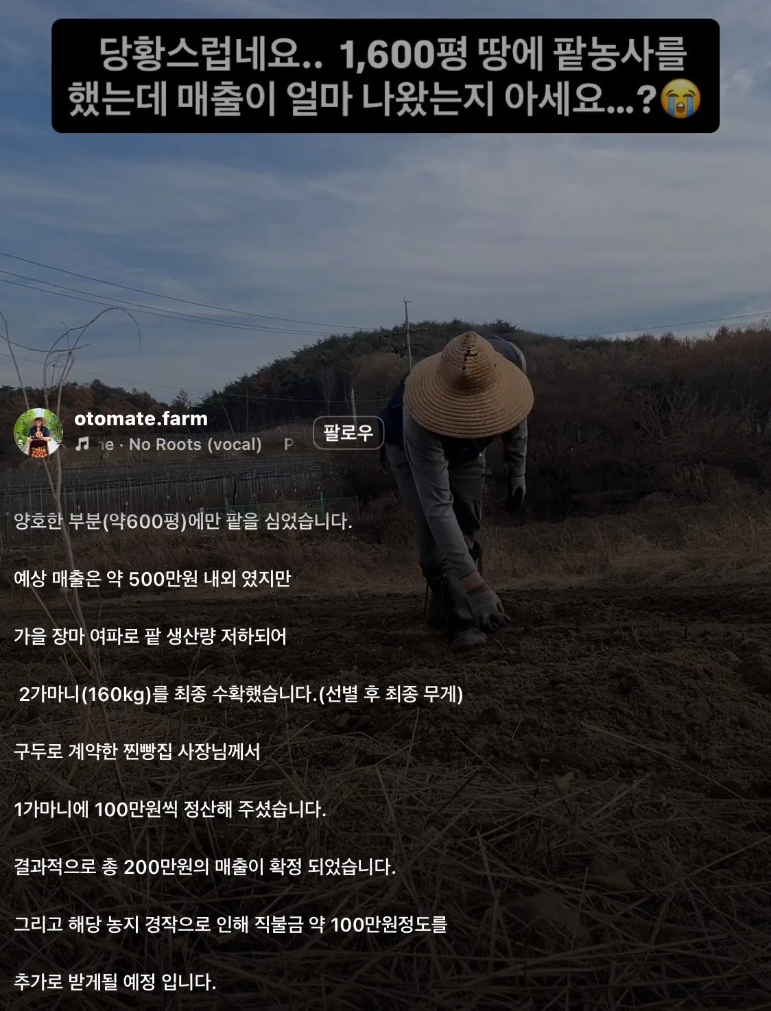 올해 600평 팥 수익 ㄷㄷ