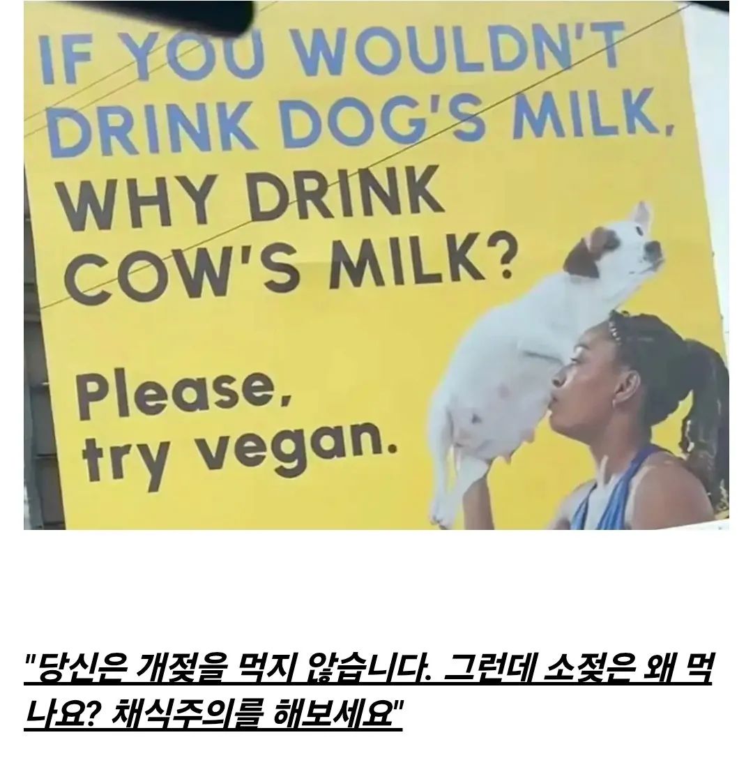 뭔가 기괴한 채식주의 광고.jpg