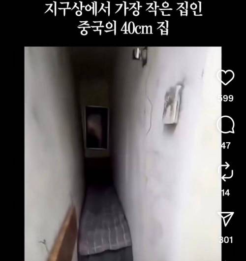 세상에서 가장 작은 집인 중국 40cm집