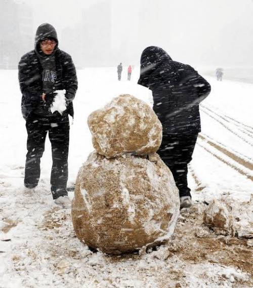 부산 폭설 vs 강원도 폭설 비교