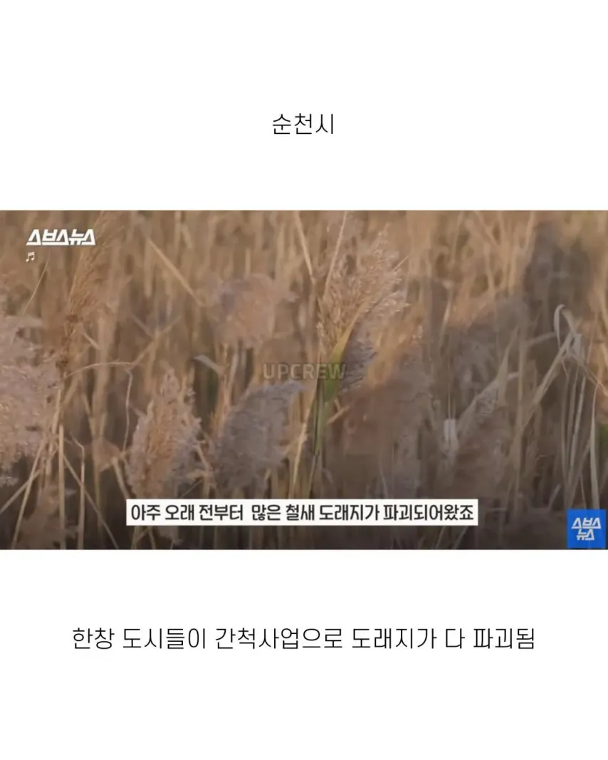 좋은 일 많이 해서 축복 받은 한국 도시