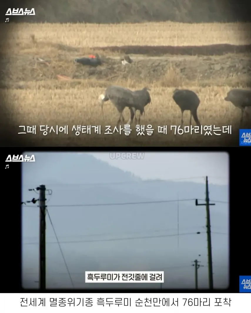 좋은 일 많이 해서 축복 받은 한국 도시