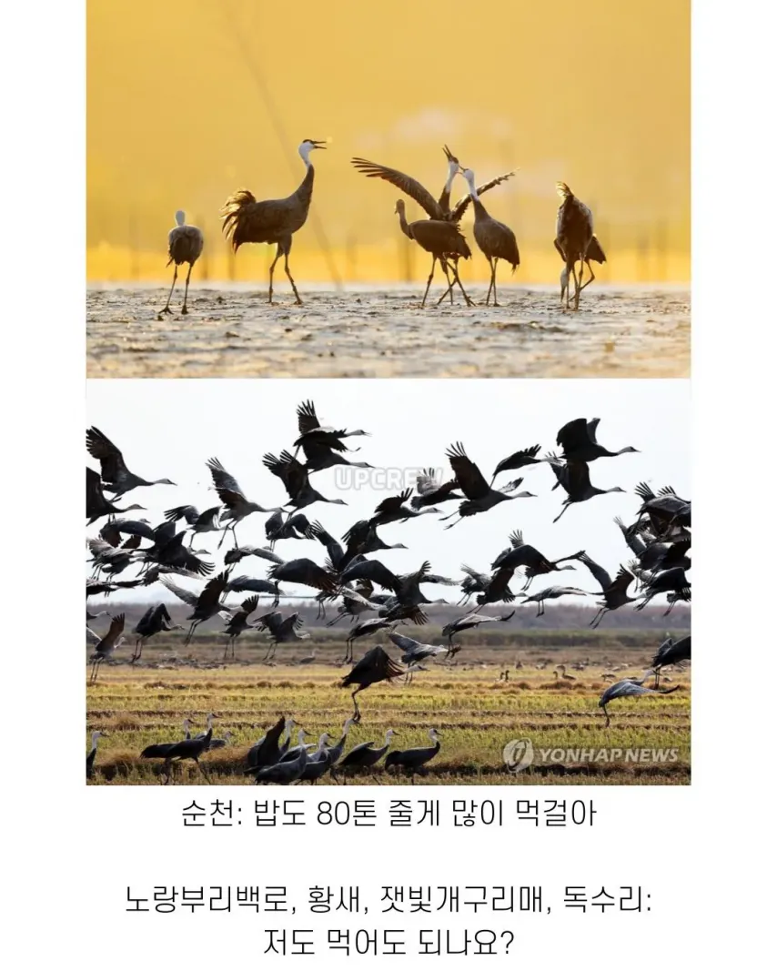 좋은 일 많이 해서 축복 받은 한국 도시