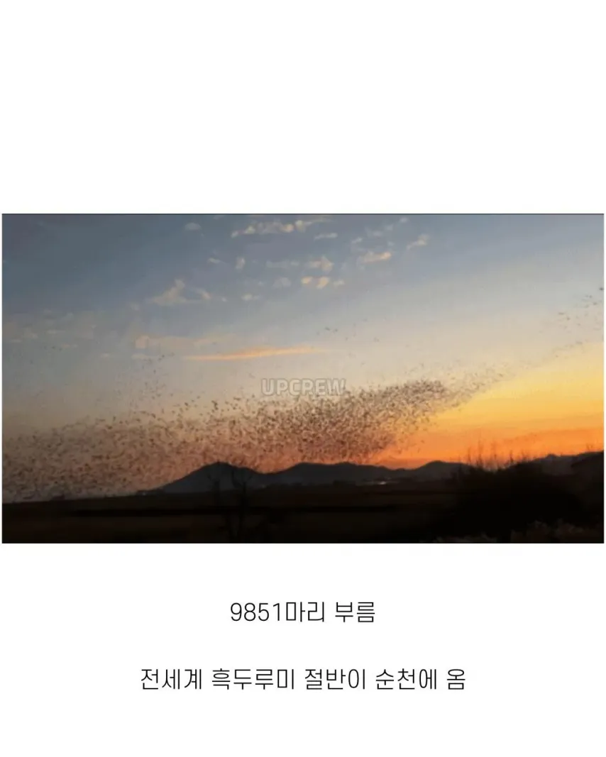 좋은 일 많이 해서 축복 받은 한국 도시