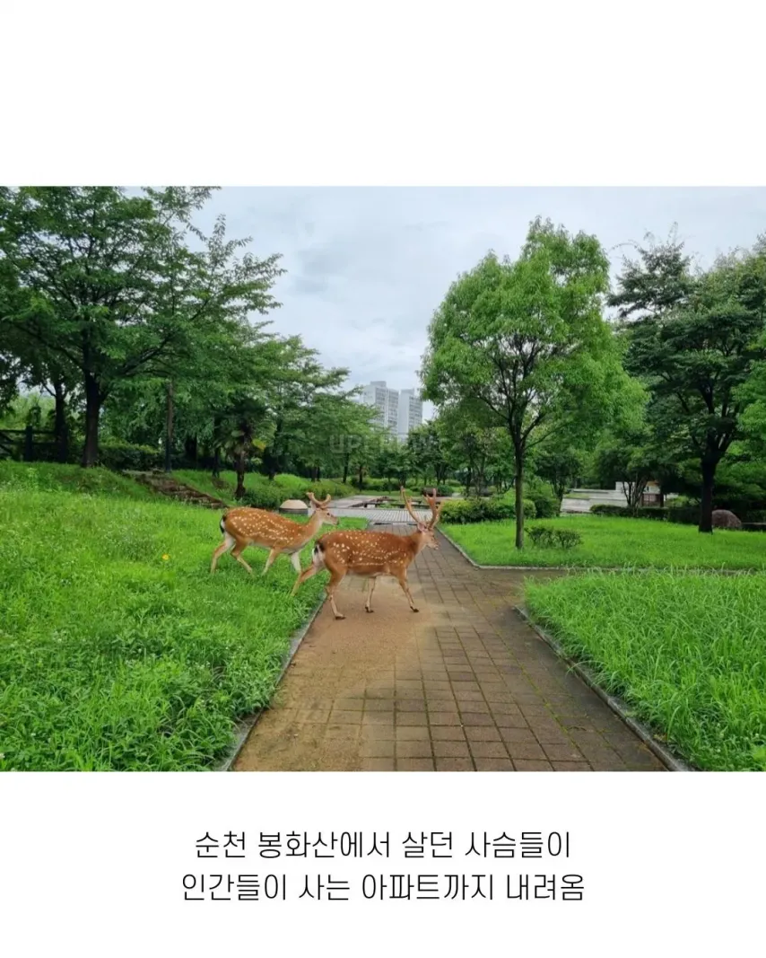 좋은 일 많이 해서 축복 받은 한국 도시