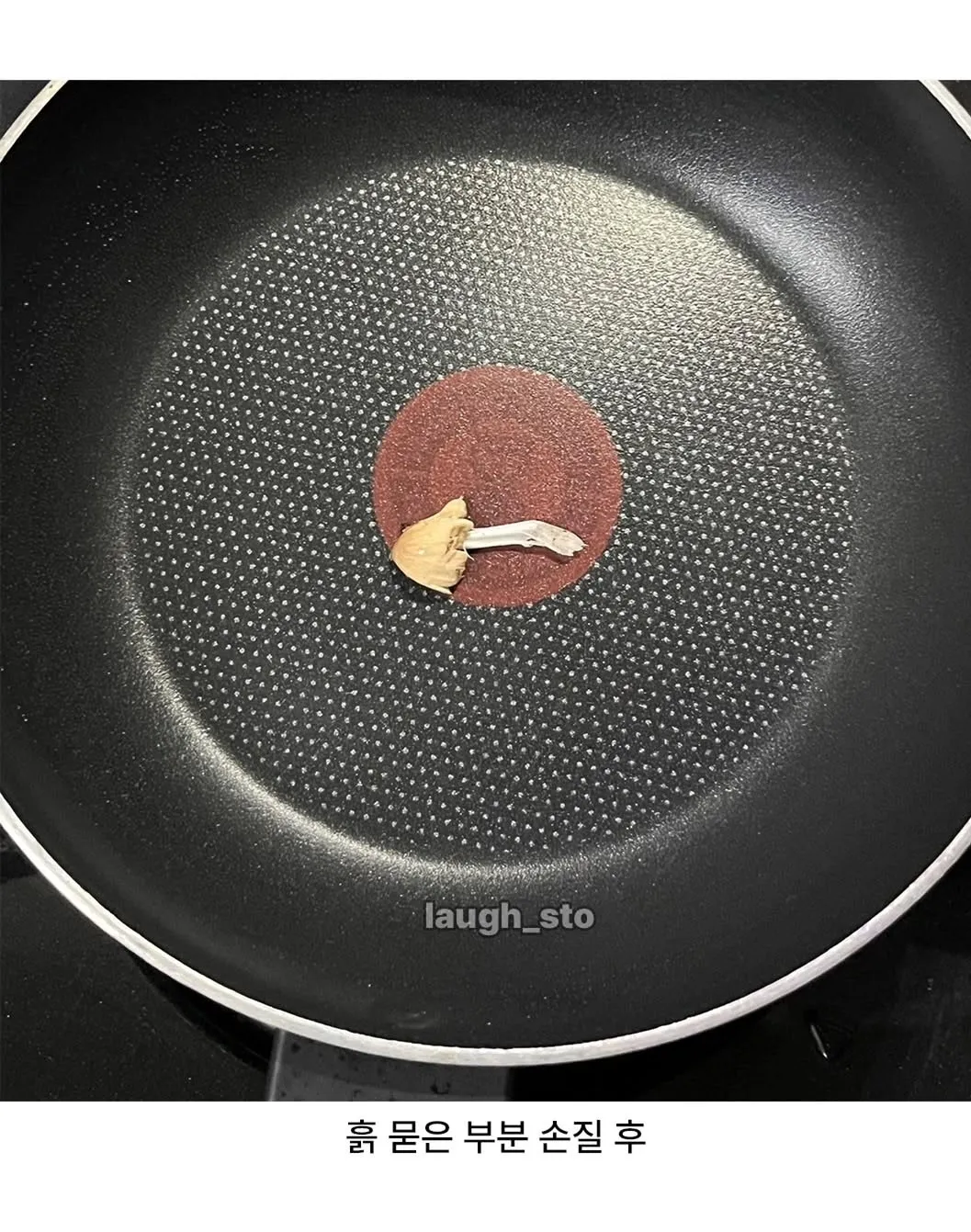 정체불명의 버섯을 먹어본 디시인.jpg